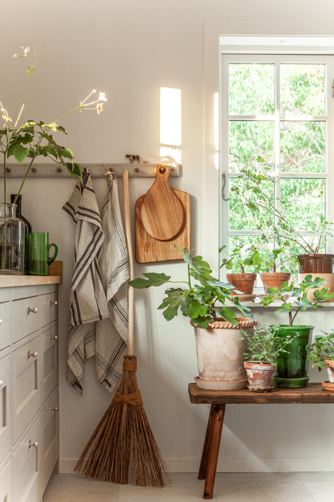 Lantligt kök med växter och trädetaljer